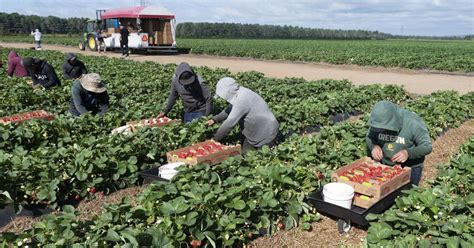 Experts say spike in open permits for workers sign of abuse.